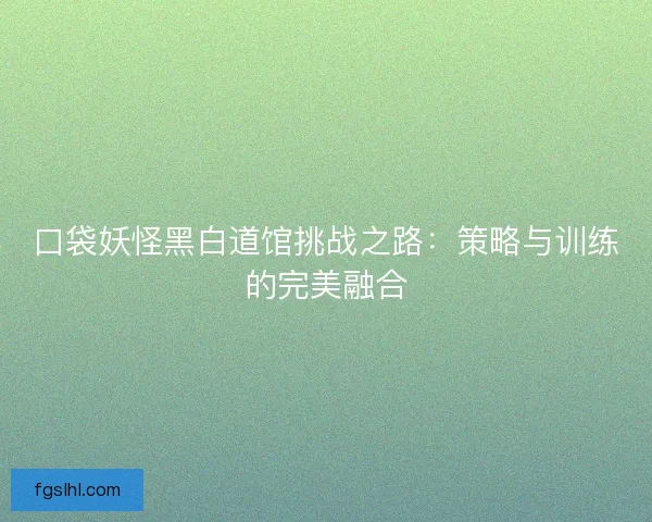 口袋妖怪黑白道馆挑战之路：策略与训练的完美融合